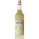 Monin Anis 1L