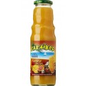 Caraïbos Planteur des îles 75cl