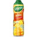 TEISSEIRE Sirop Boost Ananas Mangue 60cL